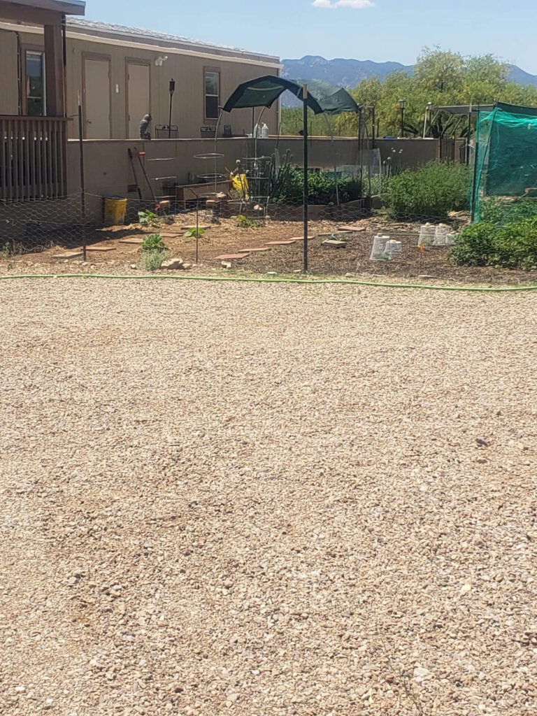 Community-Garden